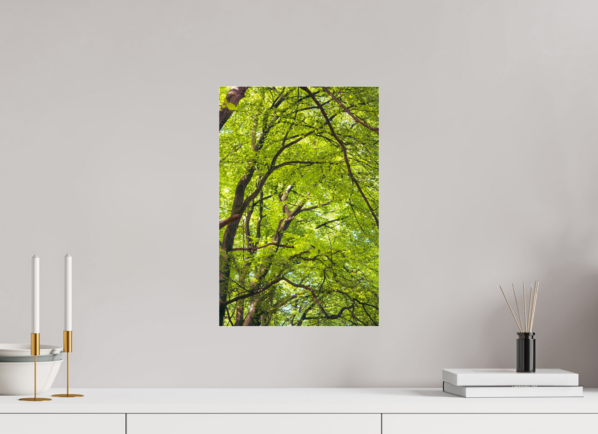 30 x 45 cm, Photo Print Under Acrylic Glass The Green Above