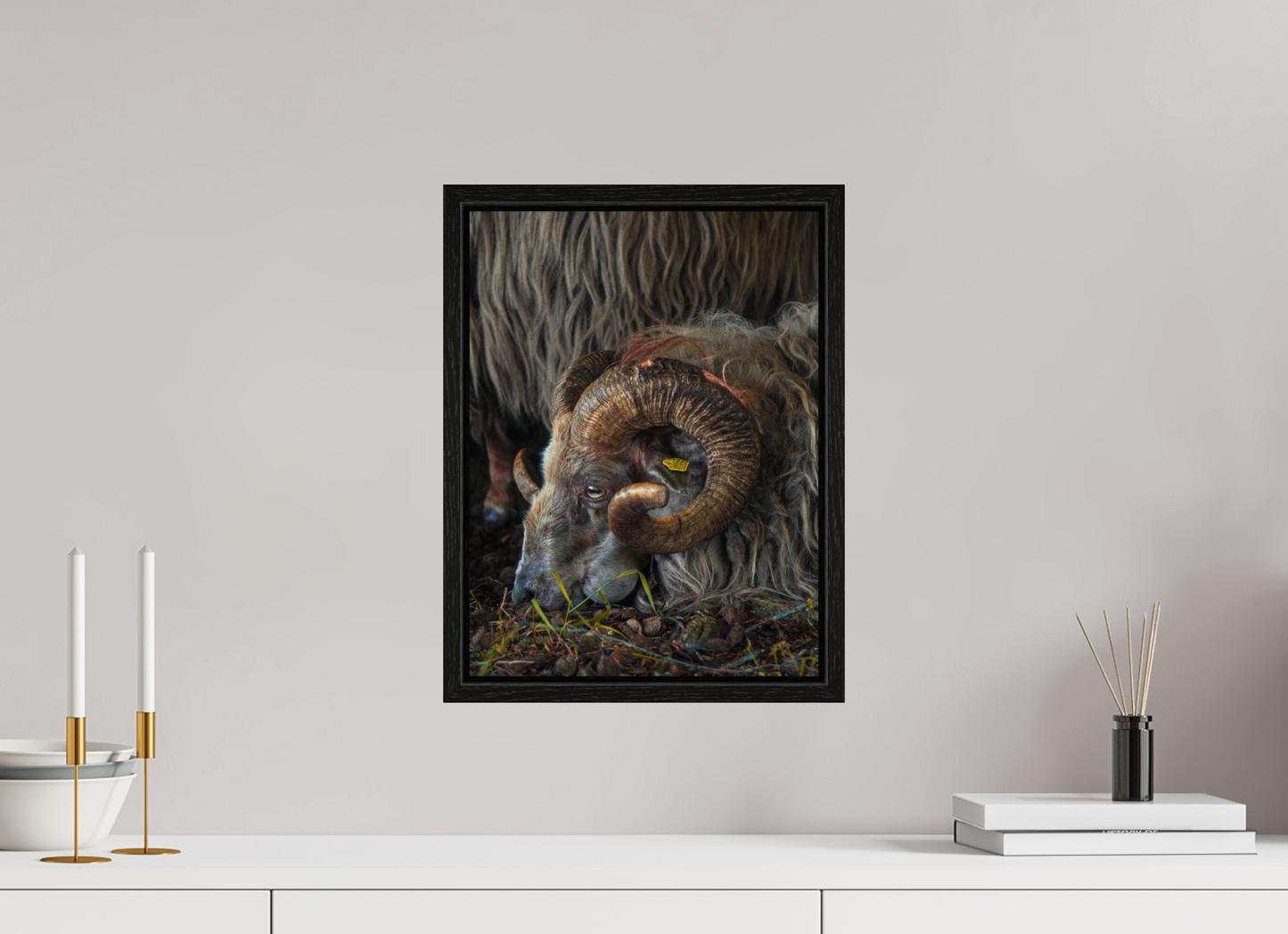 30 x 40 cm, Floater Frame Drentse heidenschaap