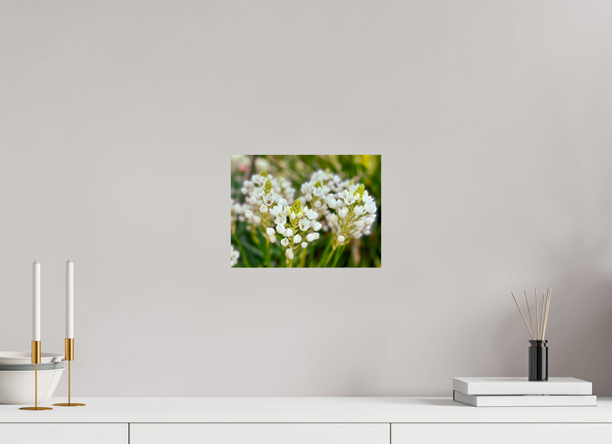 28 x 21 cm, Photo Print On Fuji Crystal DP II Ornithogalum Arabicum