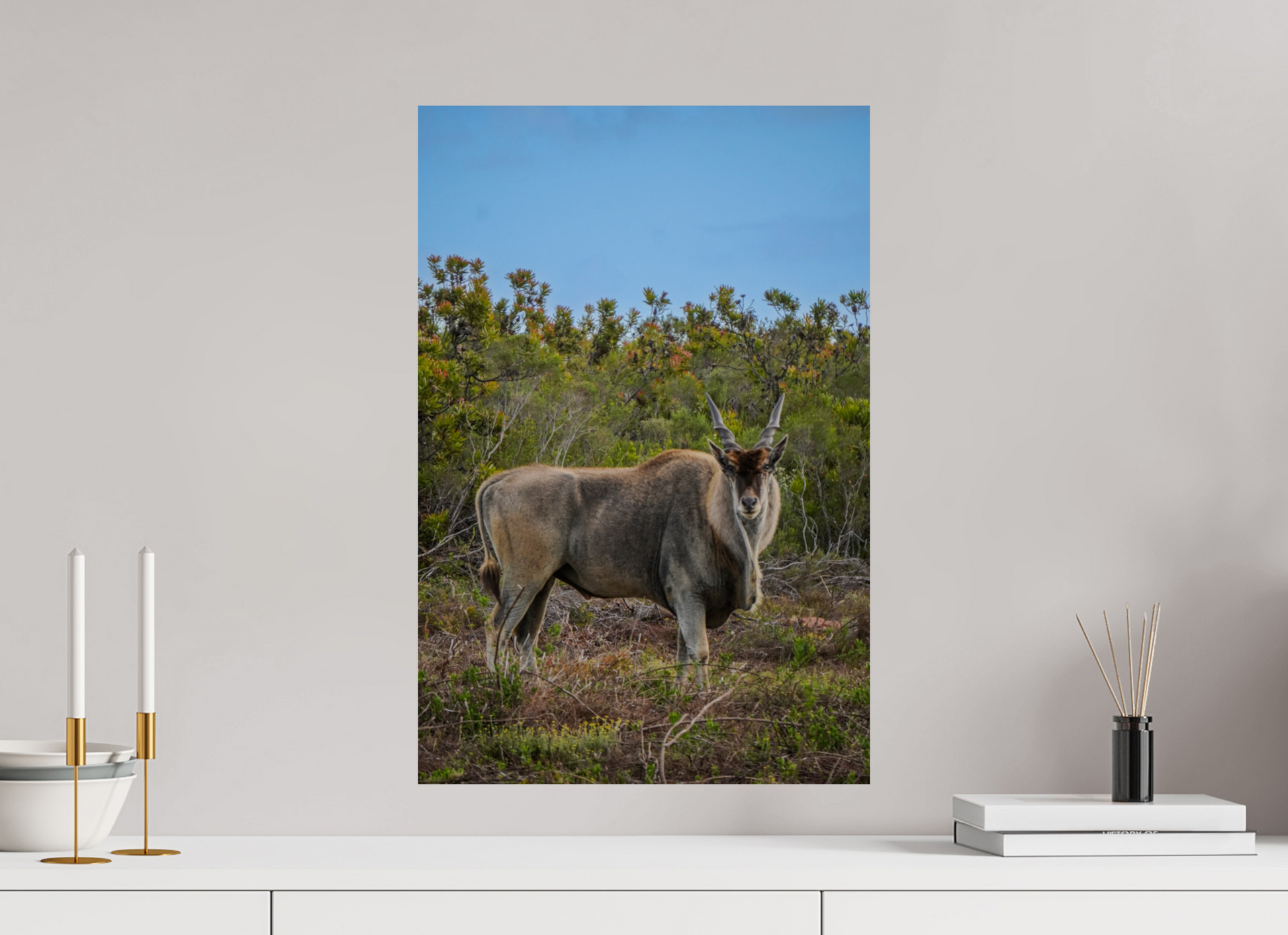 40 x 60 cm, Photo Print On Fuji Crystal DP II Eland Antilope