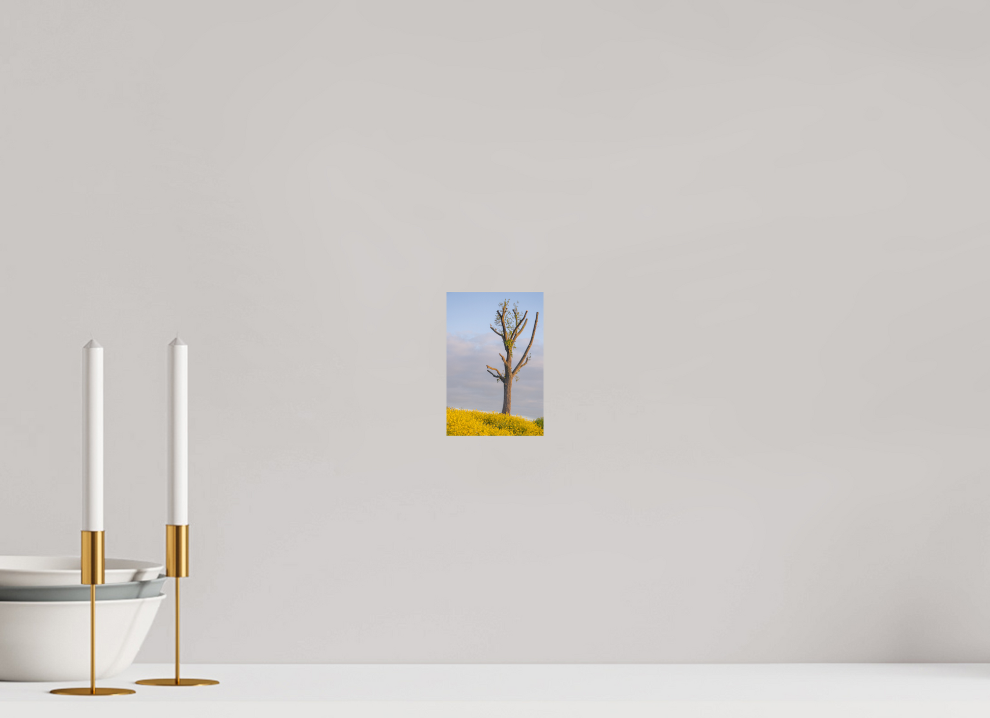 10 x 14,8 cm, Photo Print On Fuji Crystal DP II The Quiet Tree