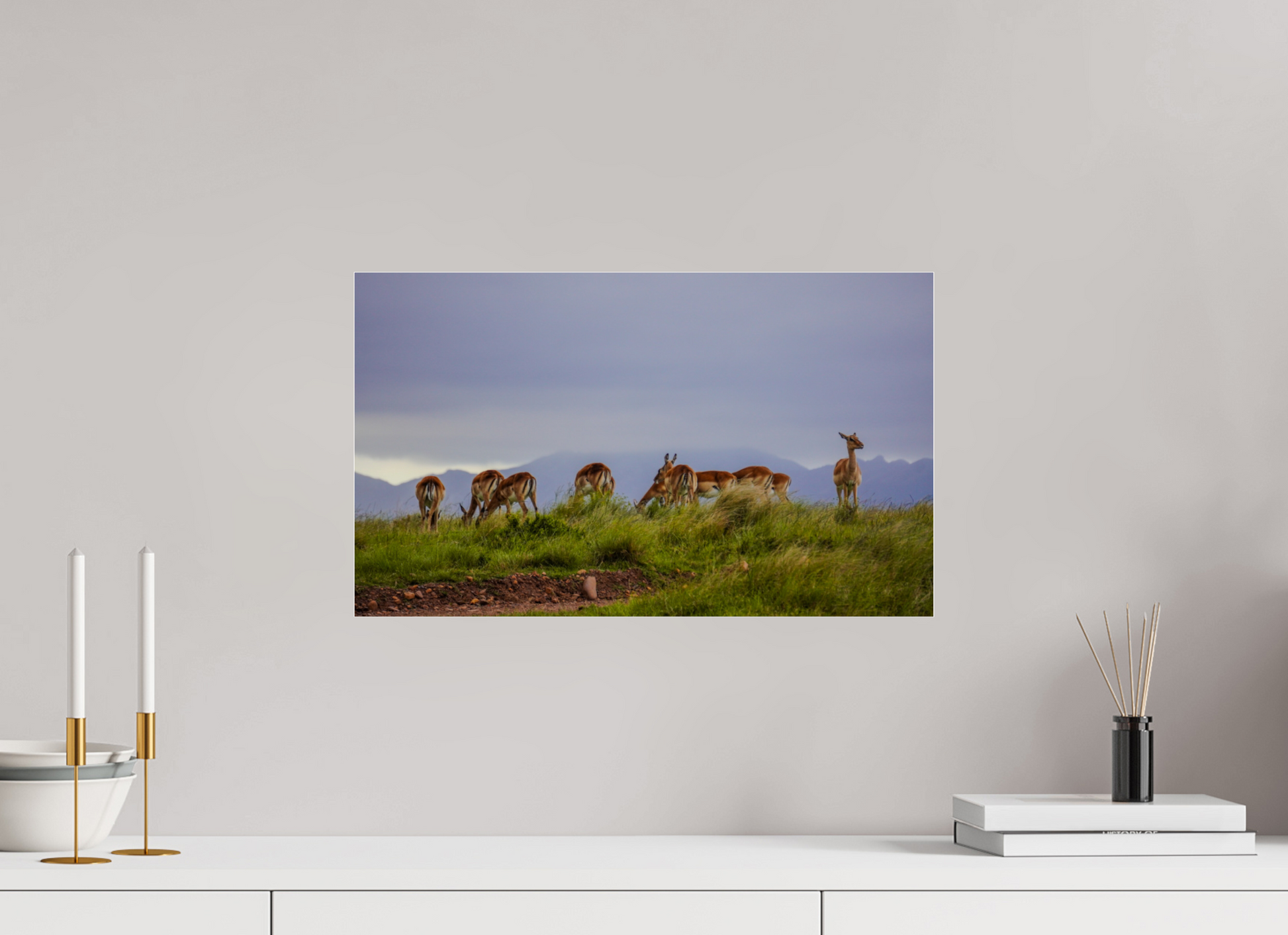 50,5 x 30 cm, Photo Print Under Acrylic Glass Gondwana