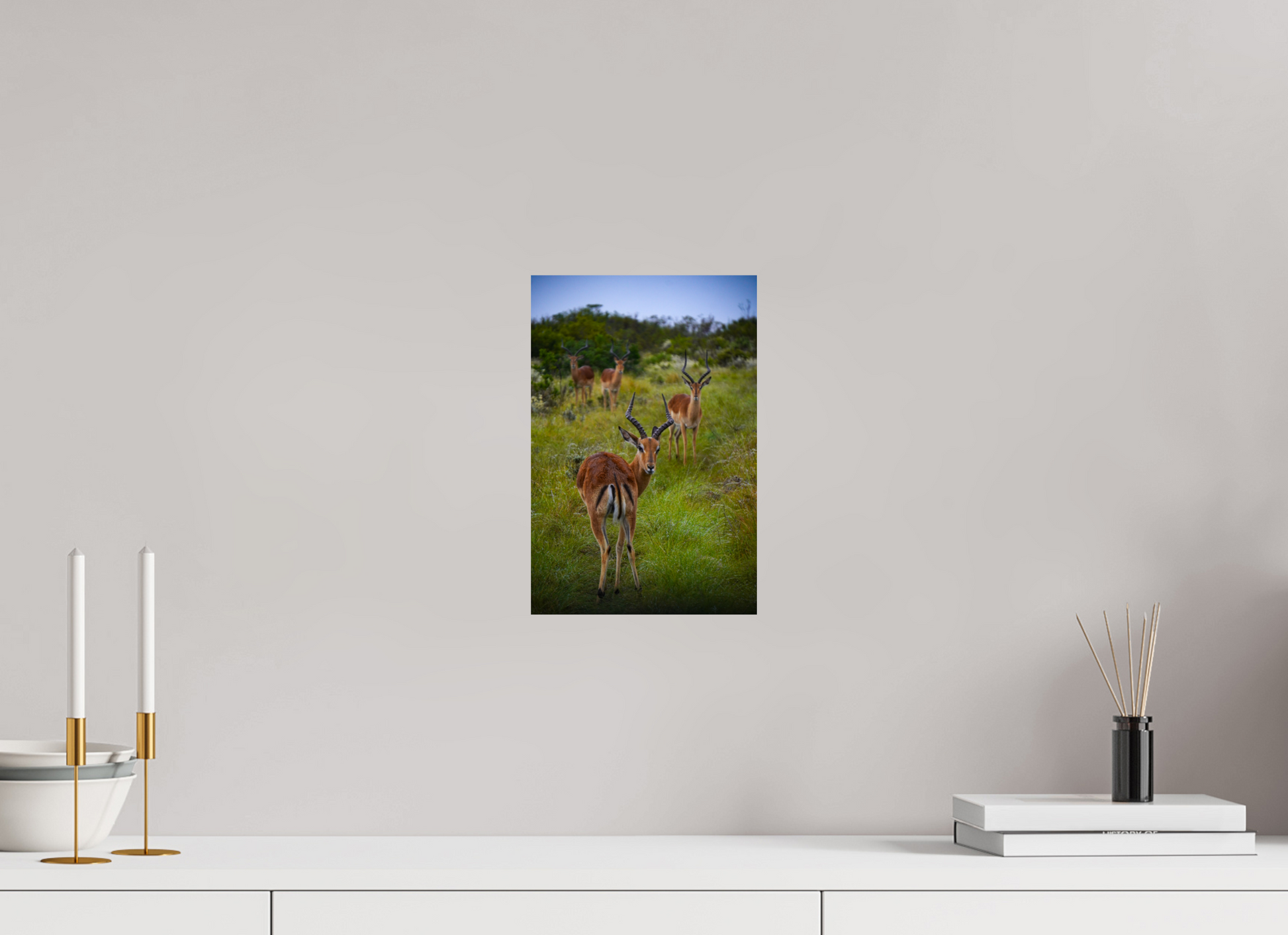 20 x 30 cm, Photo Print On Fuji Crystal DP II Safari