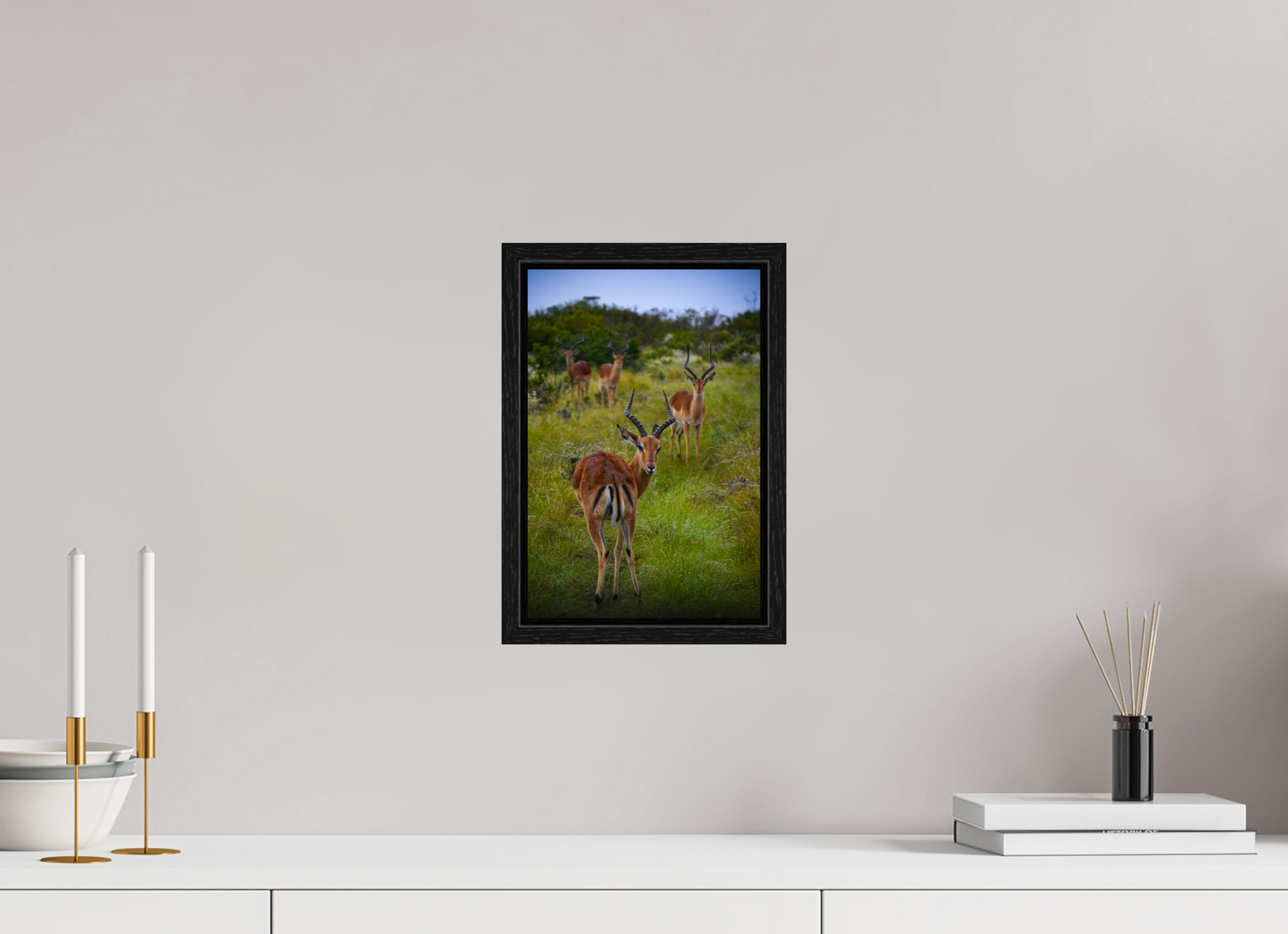 20 x 30 cm, Floater Frame Safari