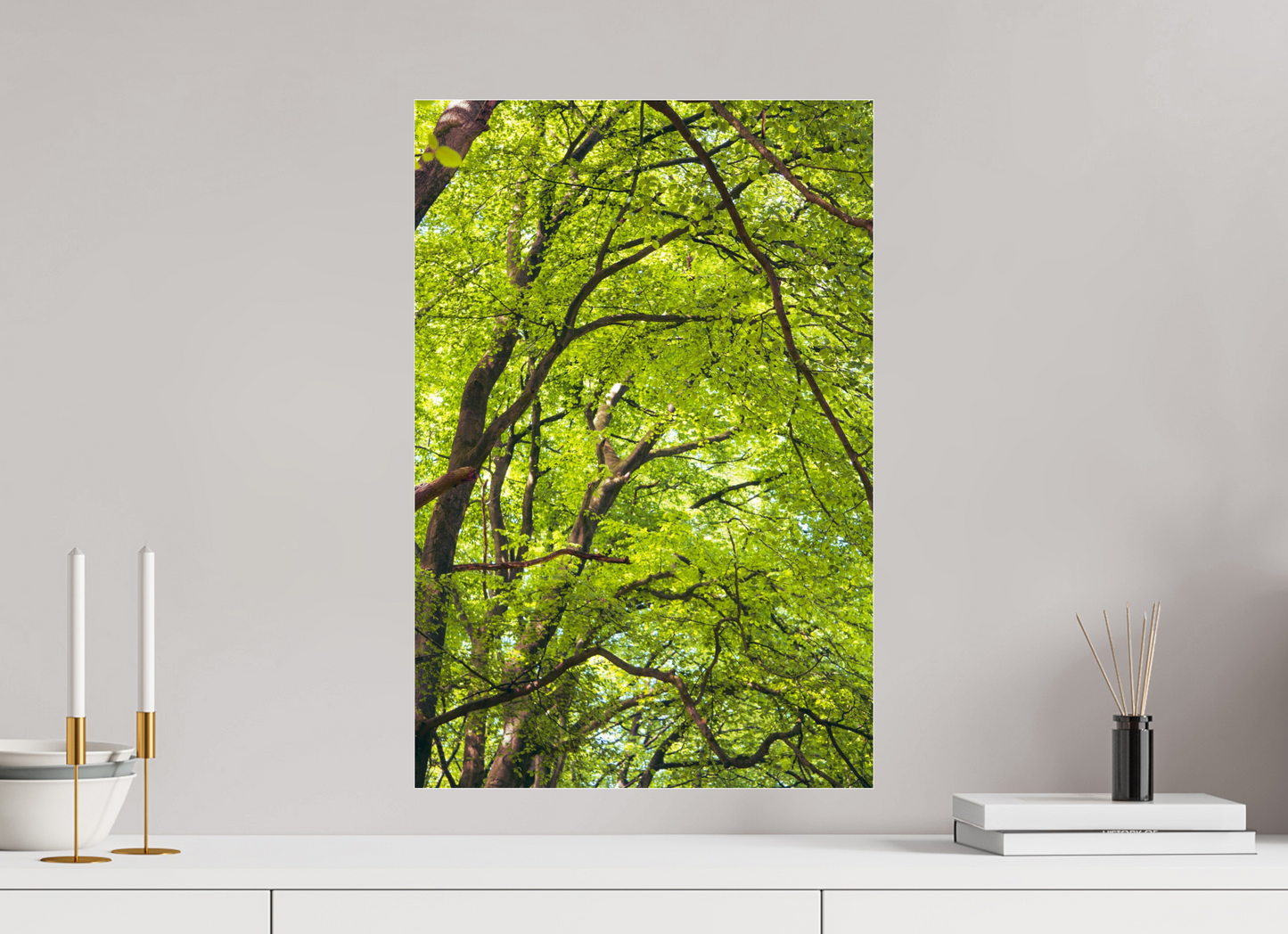 40 x 60 cm, Photo Print Under Acrylic Glass The Green Above