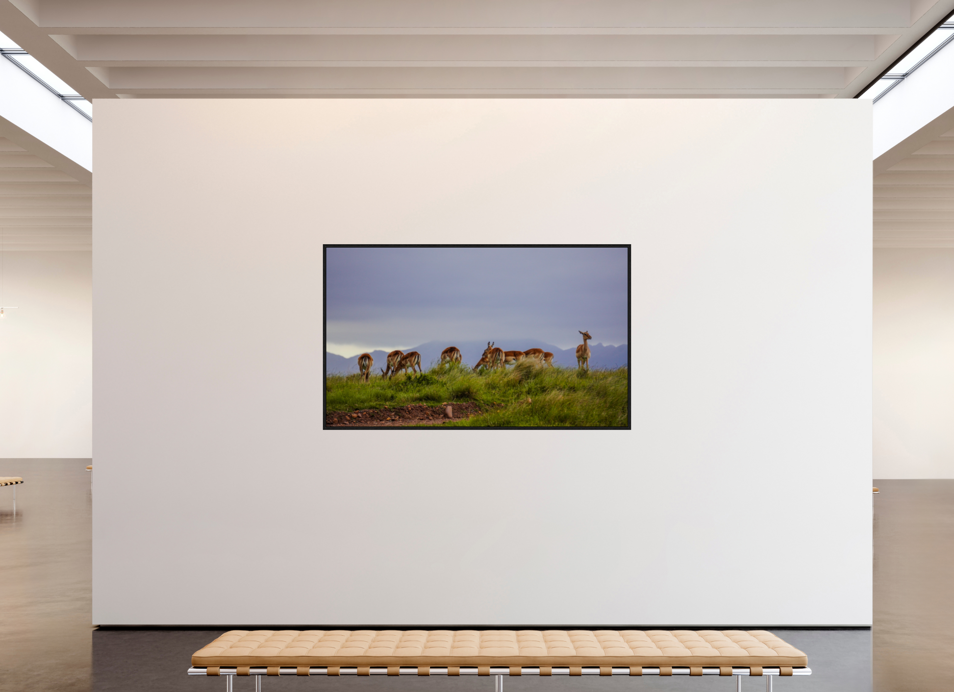 202,1 x 120 cm, Floater Frame Gondwana
