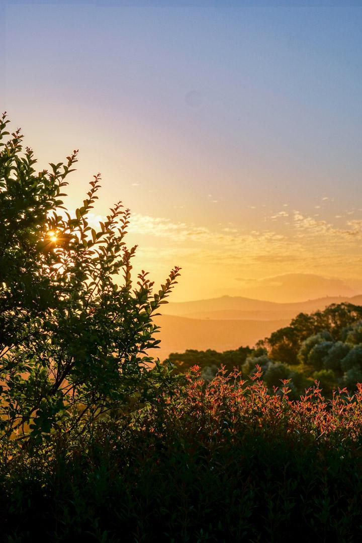 Stellenbosch Fields – South Africa Landscape Photography Print