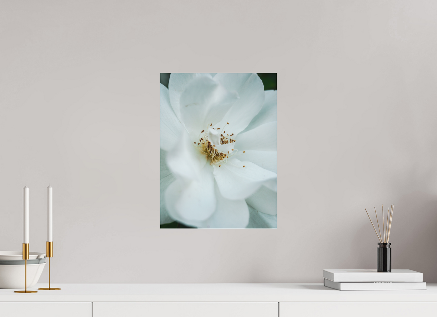 30 x 40 cm, Photo Print Under Acrylic Glass White camelia