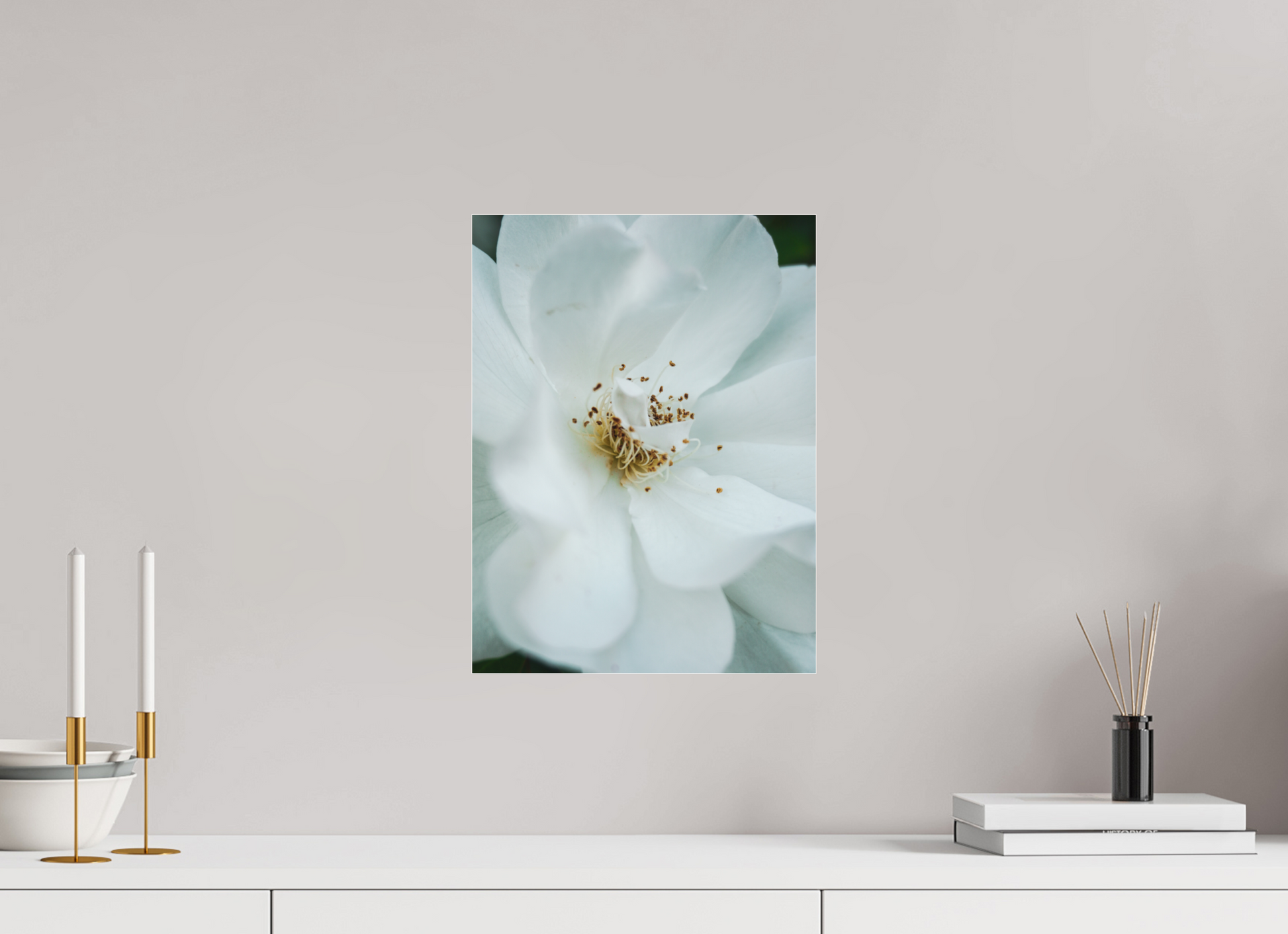 30 x 40 cm, Photo Print Under Acrylic Glass White camelia