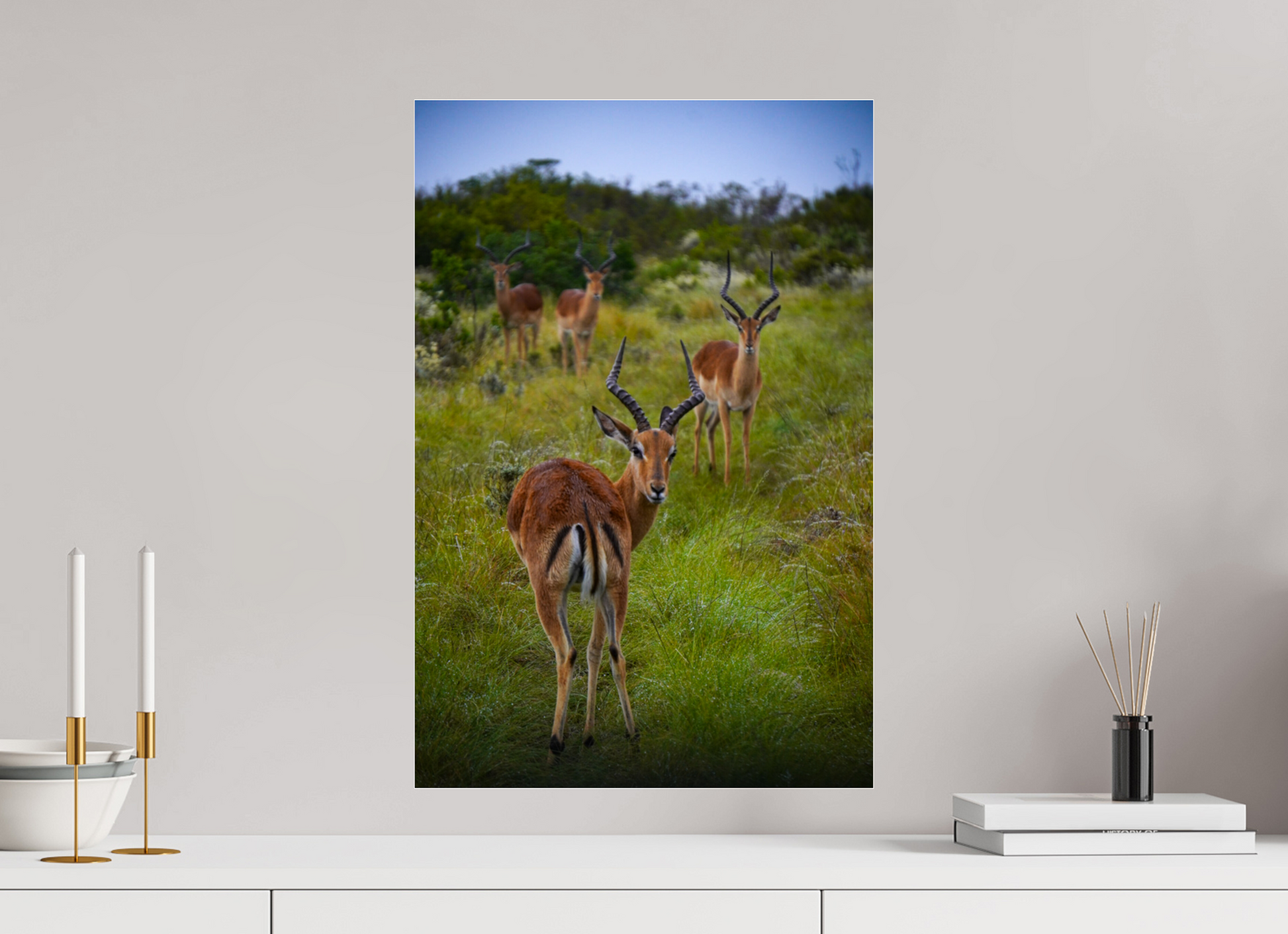 40 x 60 cm, Photo Print Under Acrylic Glass Safari