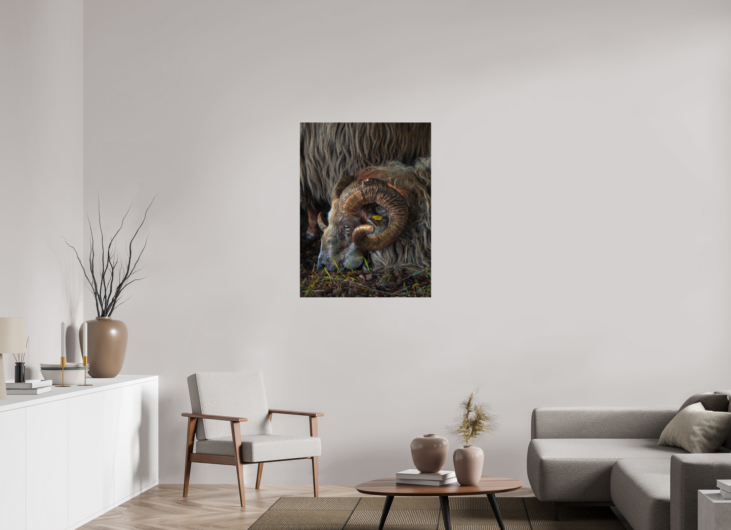 75 x 100 cm, Photo Print On Fuji Crystal DP II Drentse heidenschaap