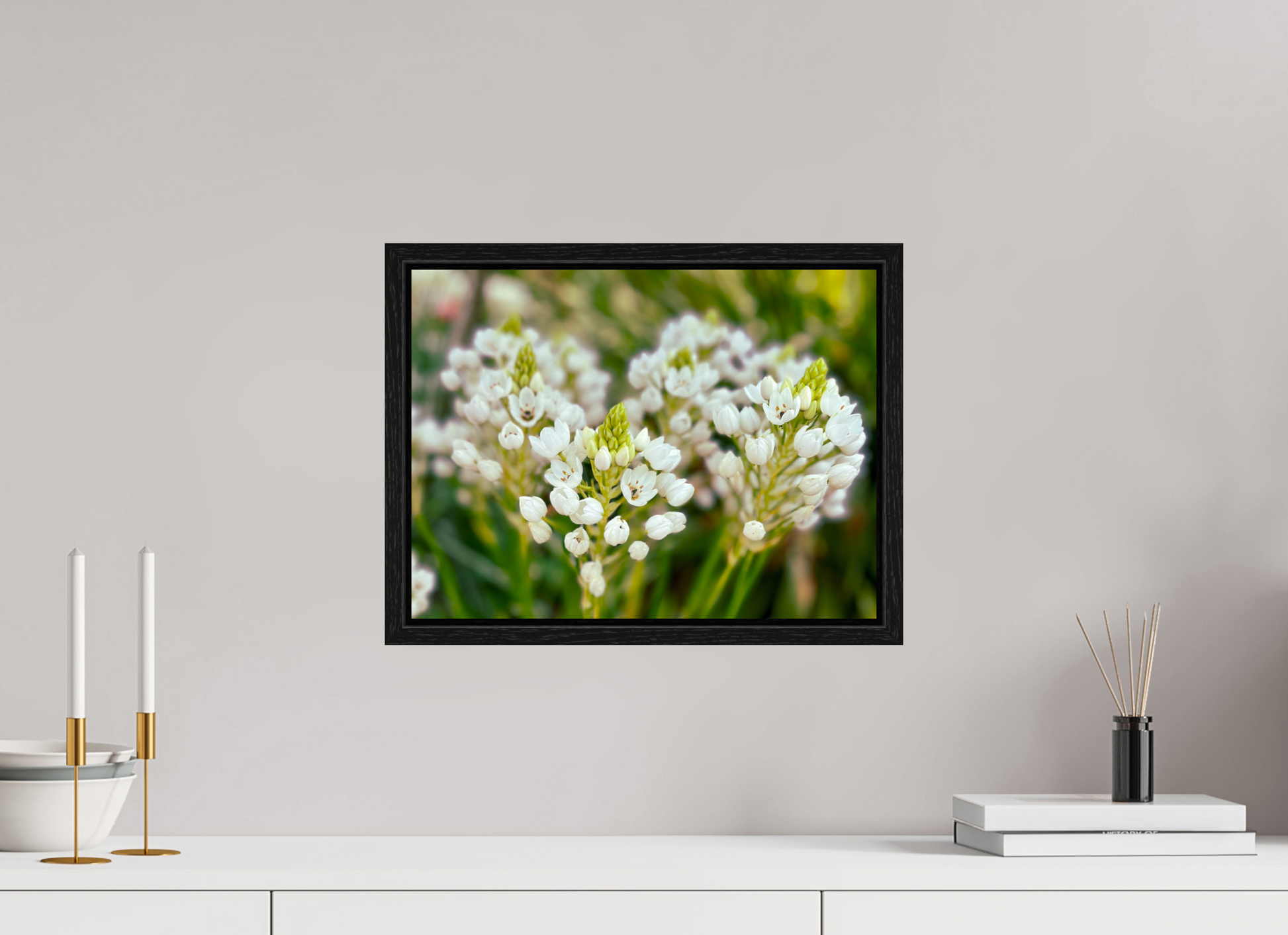 40 x 30 cm, Floater Frame Ornithogalum Arabicum