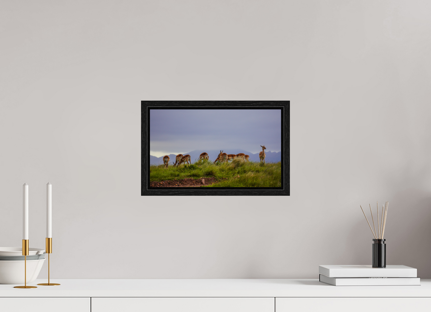 33,7 x 20 cm, Floater Frame Gondwana