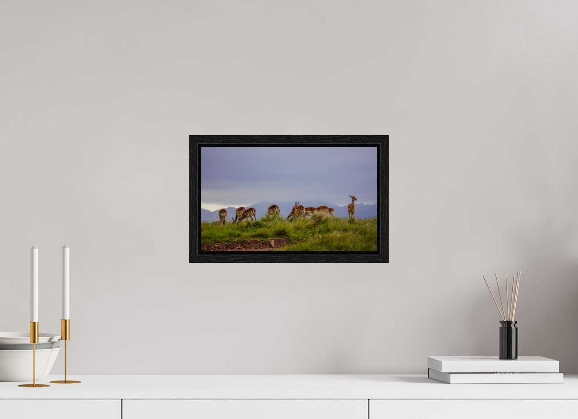 33,7 x 20 cm, Floater Frame Gondwana