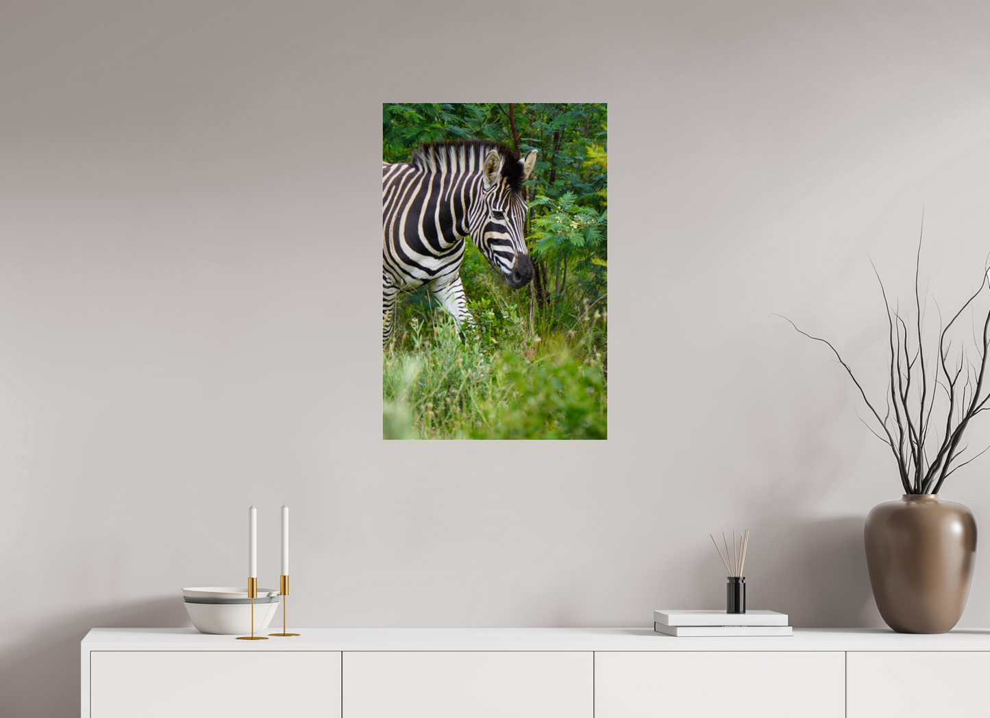 50 x 75 cm, Photo Print Under Acrylic Glass Zebra