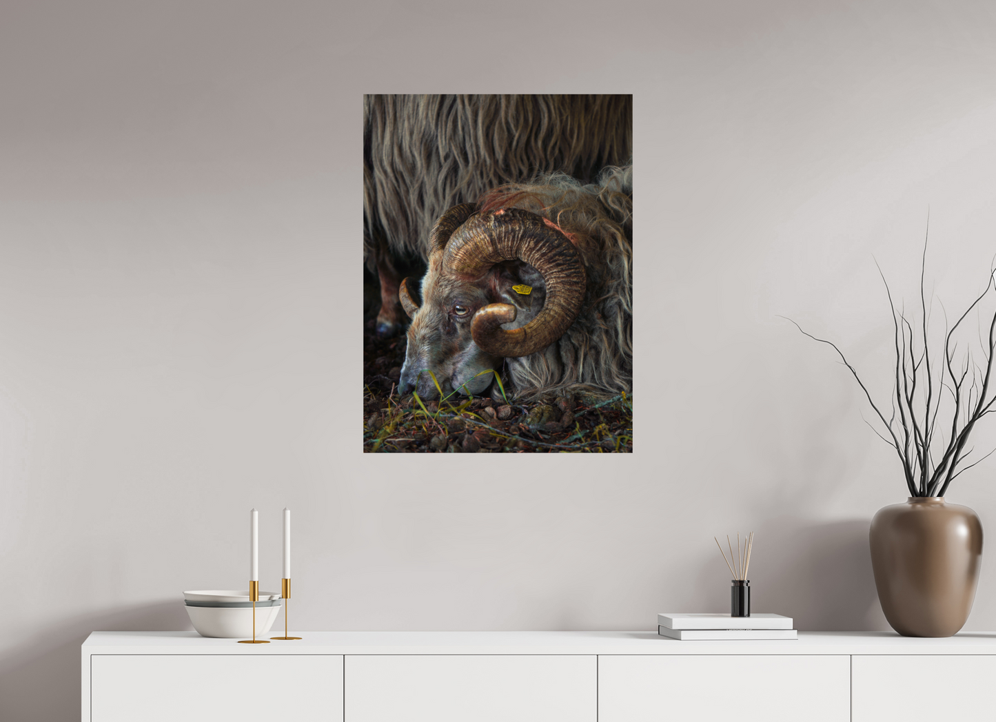 60 x 80 cm, Photo Print On Fuji Crystal DP II Drentse heidenschaap
