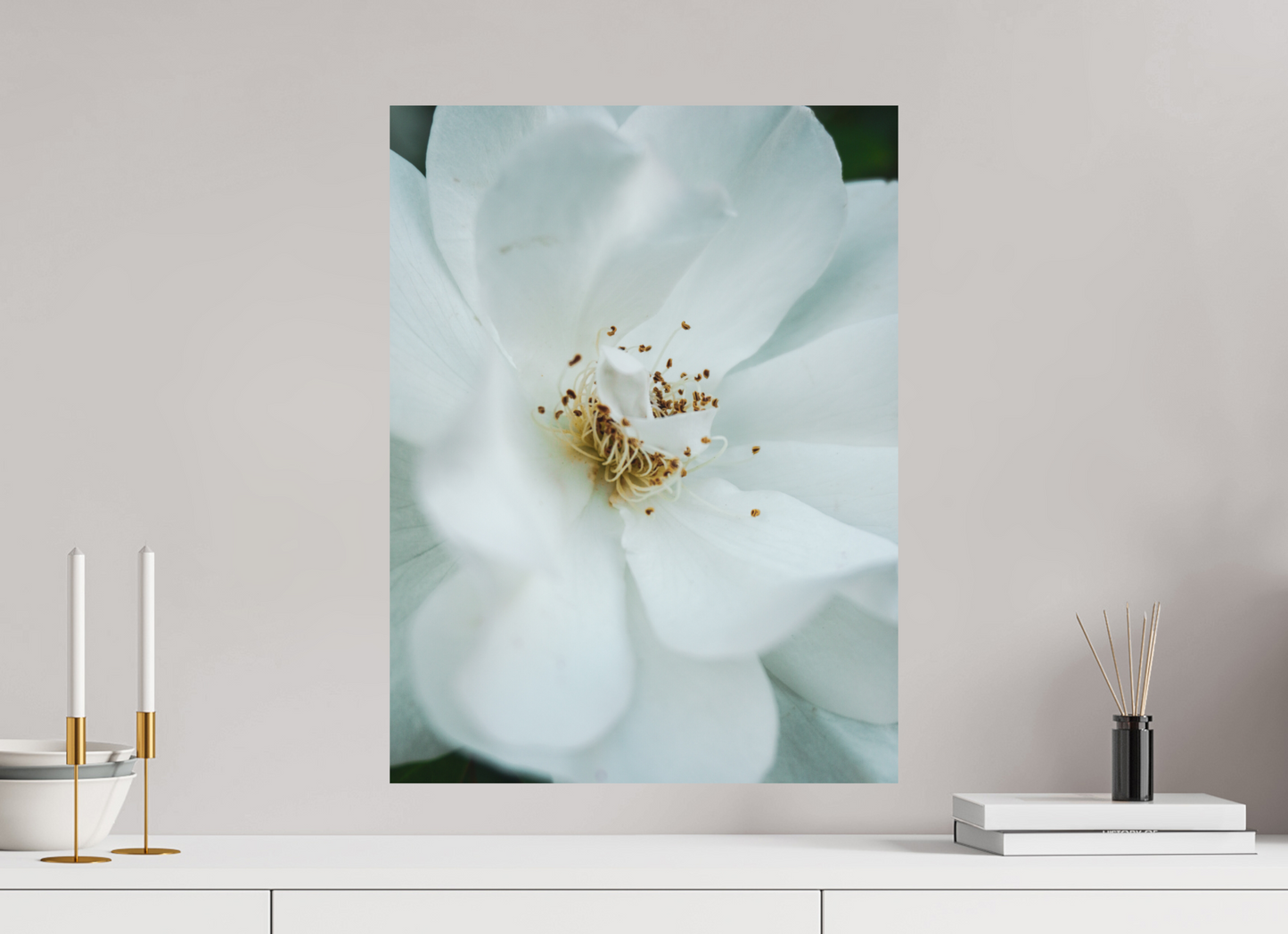 45 x 60 cm, Photo Print On Fuji Crystal DP II White camelia