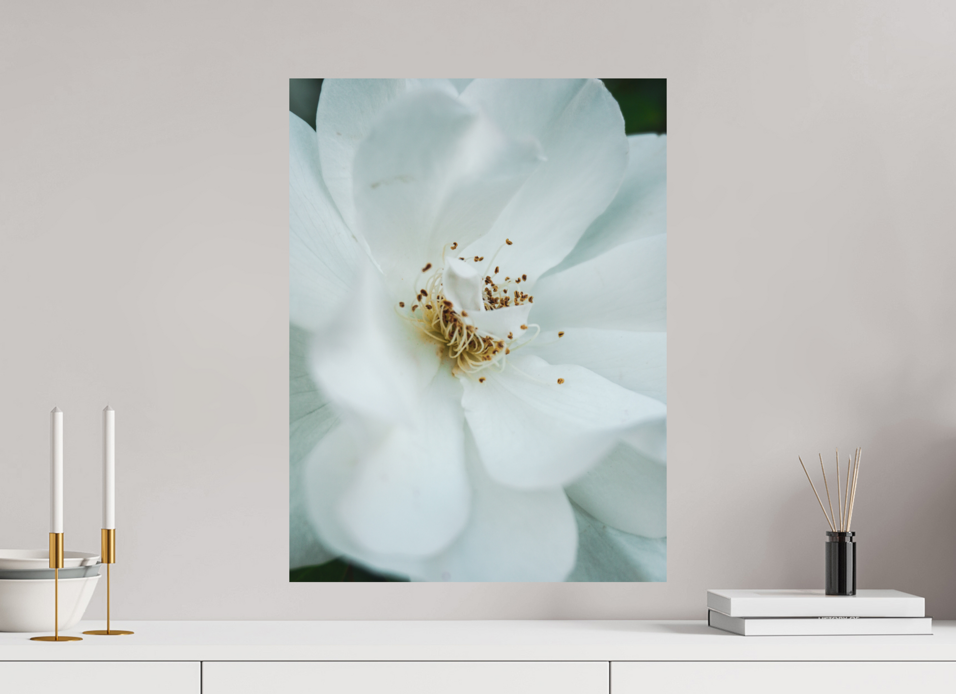 45 x 60 cm, Photo Print On Fuji Crystal DP II White camelia