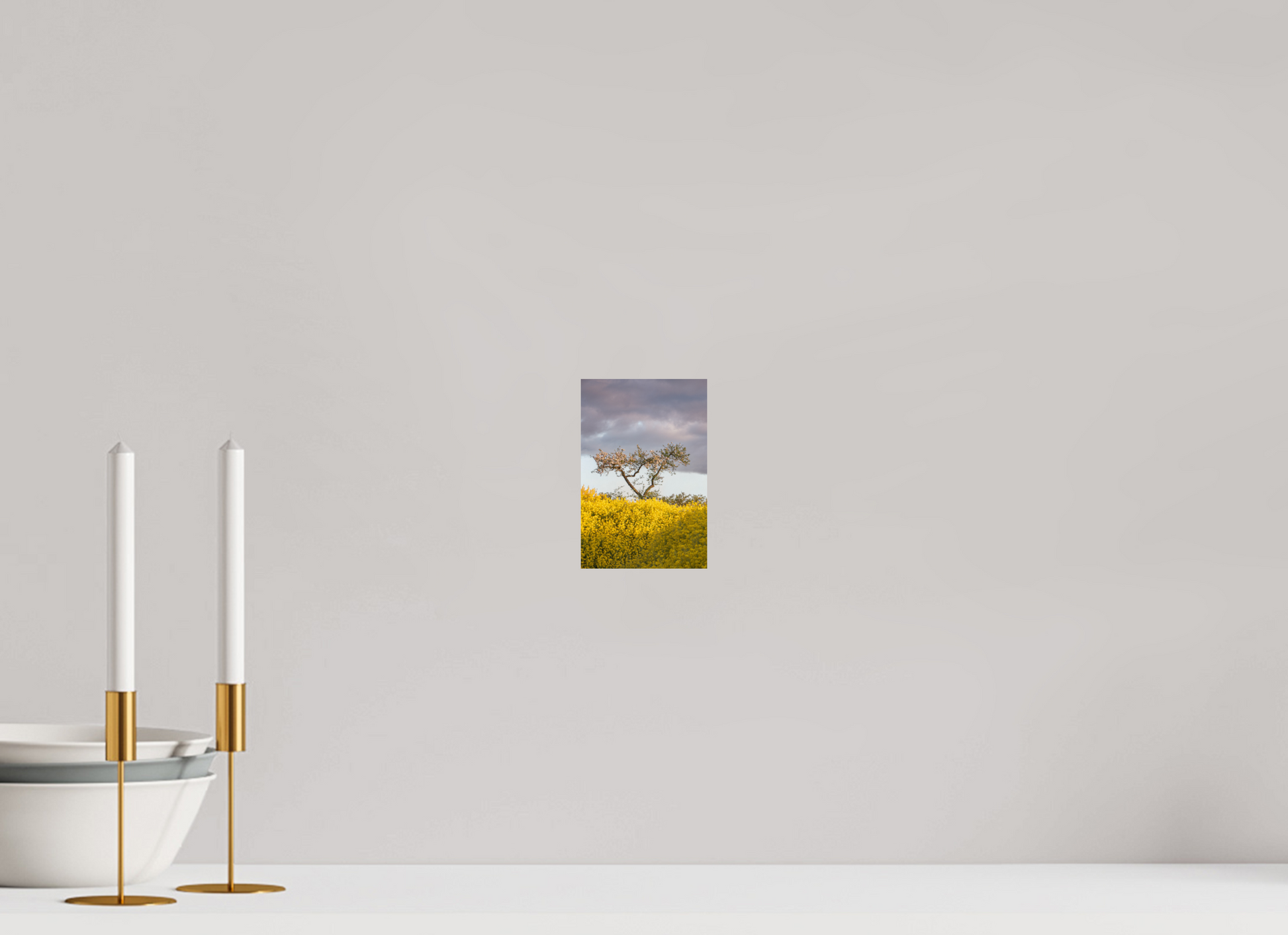 10 x 15 cm, Photo Print On Fuji Crystal DP II Blooming Against the Storm