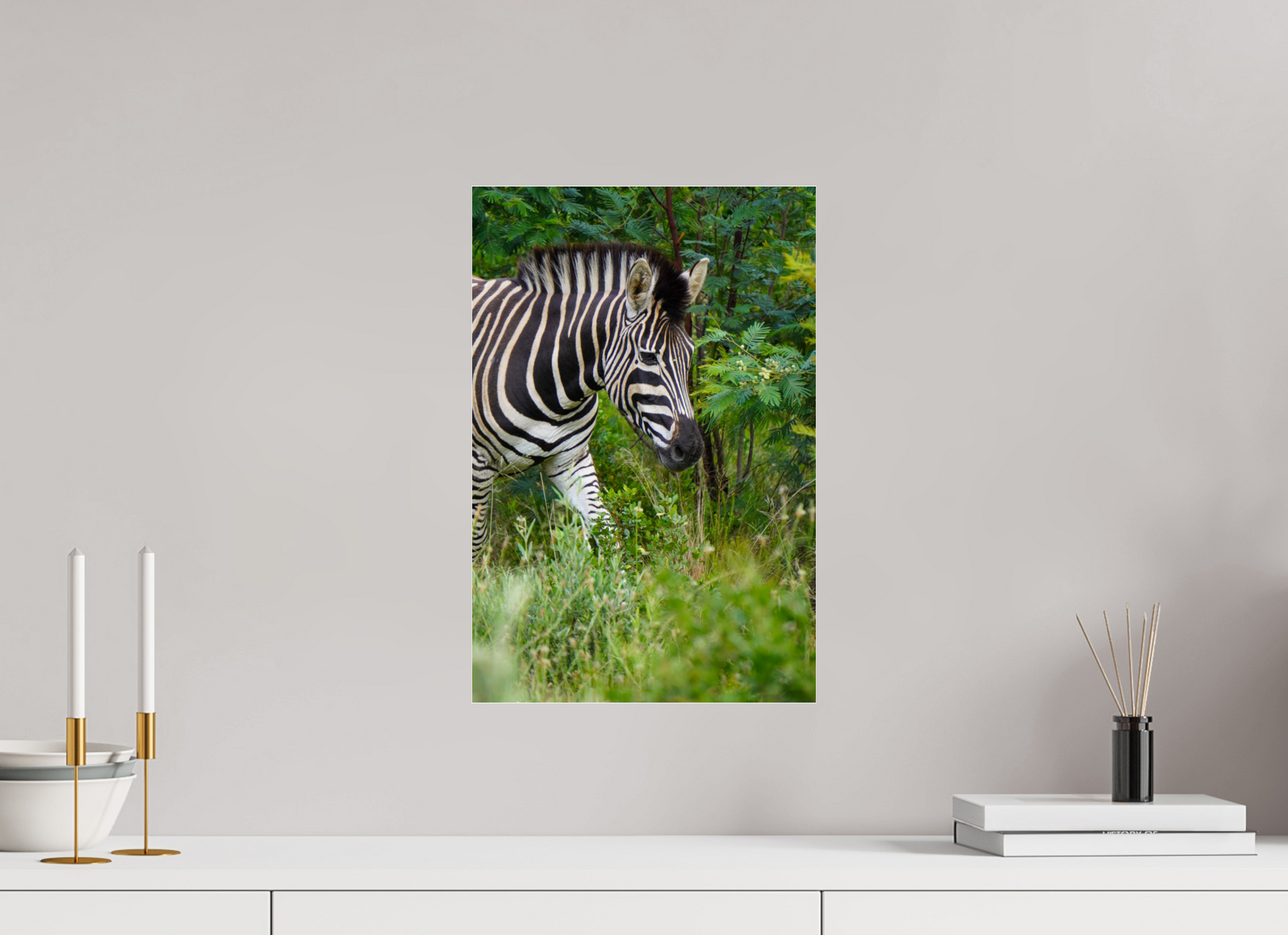 30 x 45 cm, Photo Print Under Acrylic Glass Zebra