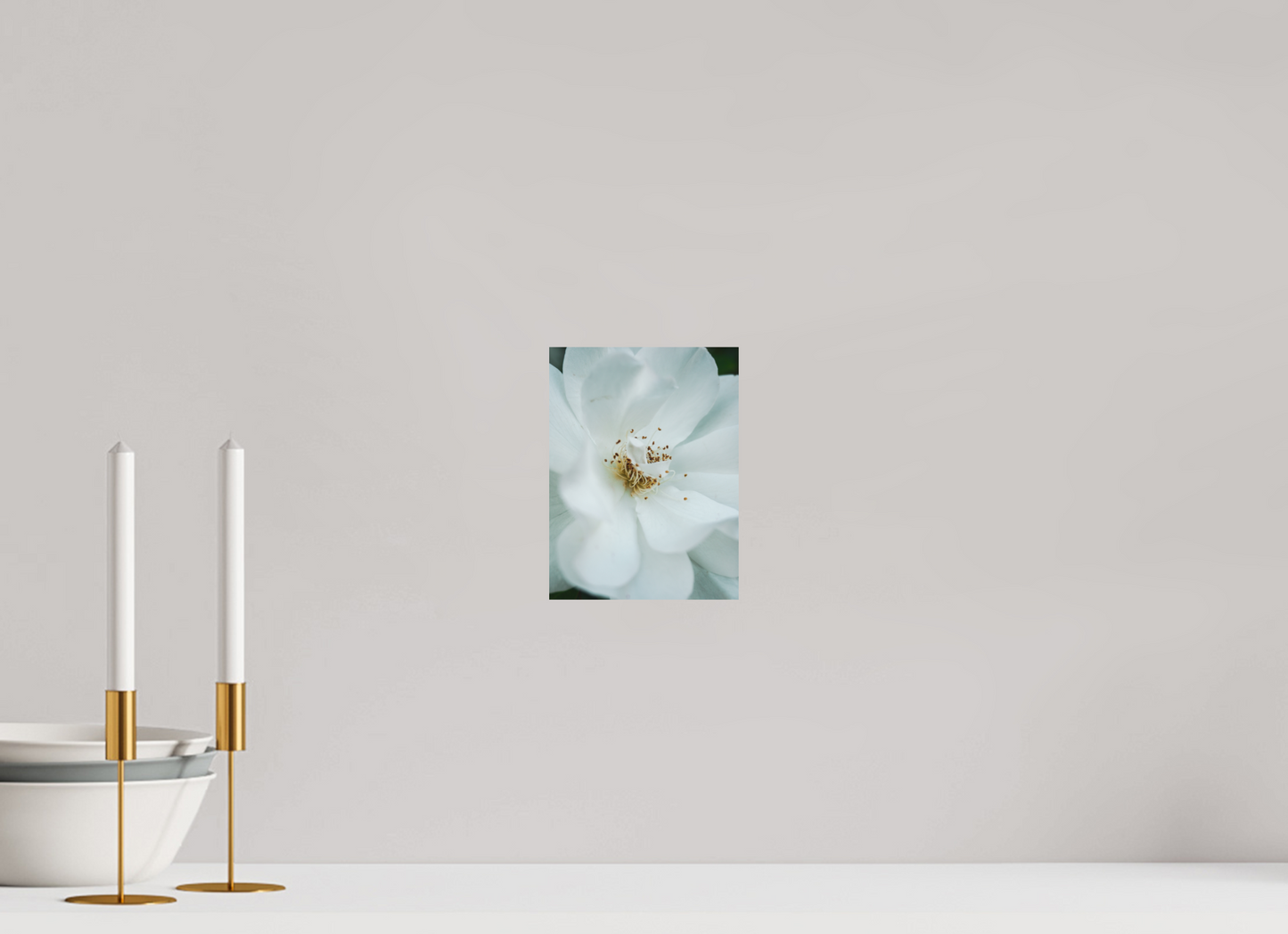 15 x 20 cm, Photo Print On Fuji Crystal DP II White camelia