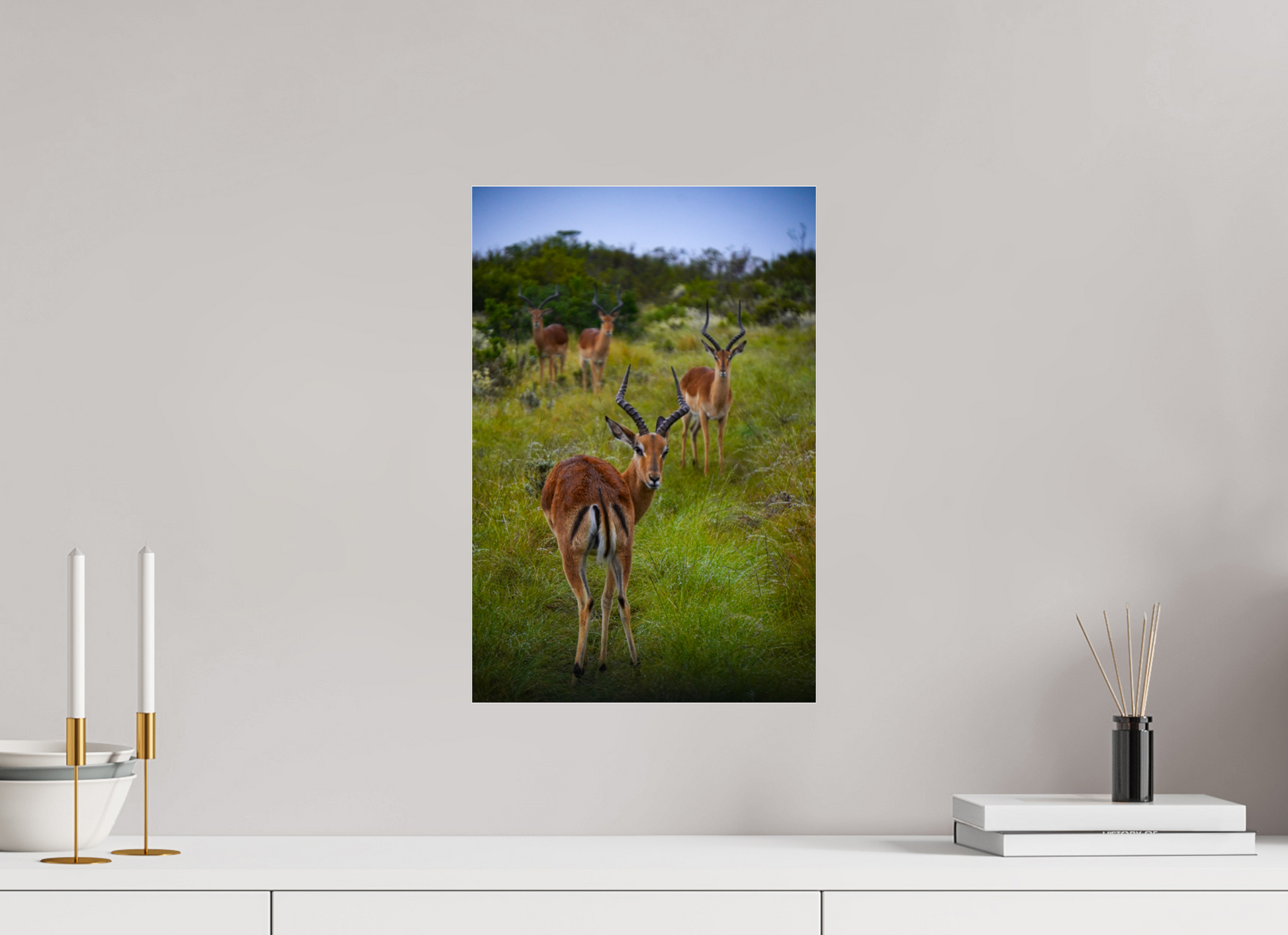30 x 45 cm, Photo Print Under Acrylic Glass Safari
