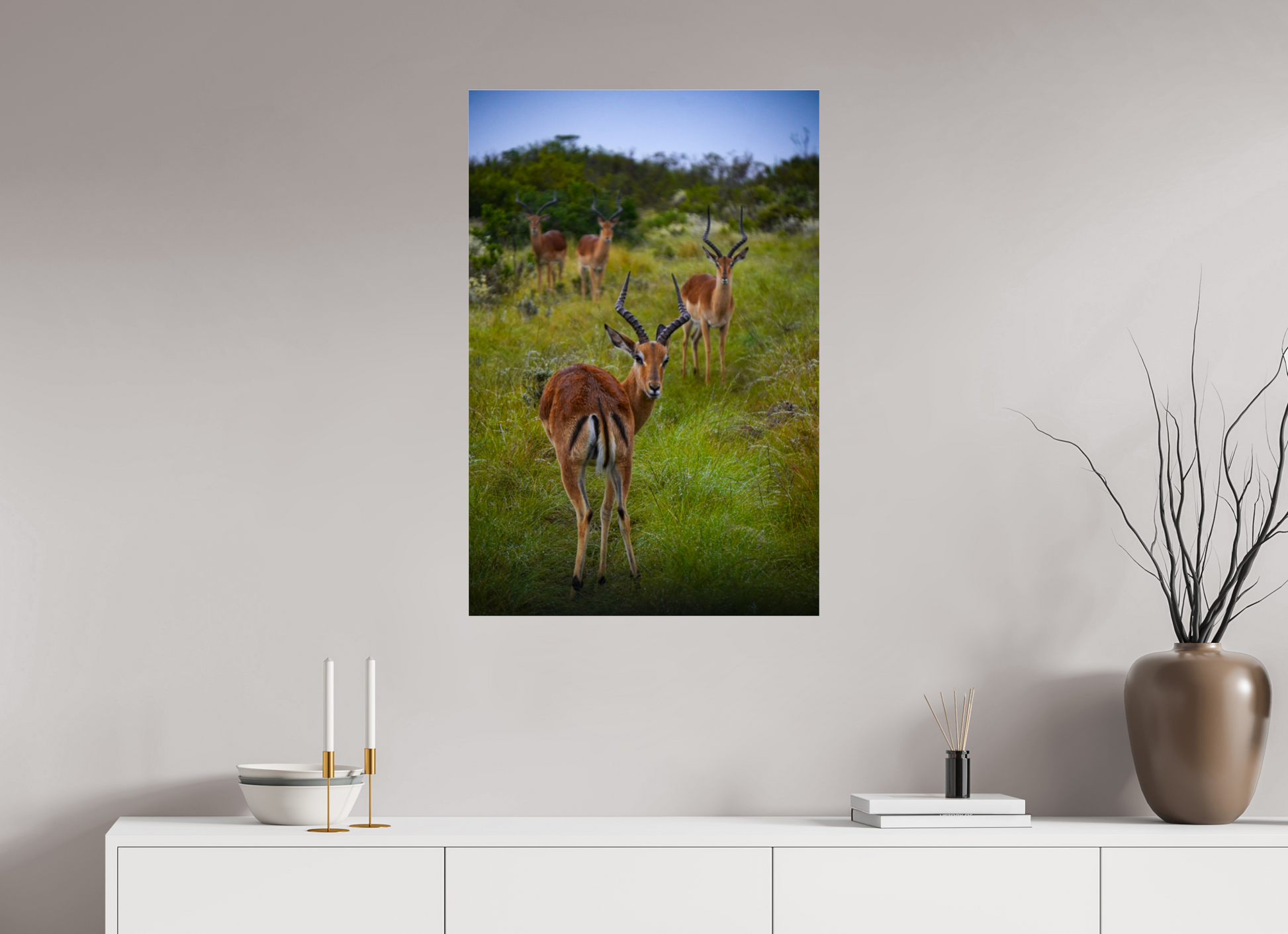 60 x 90 cm, Photo Print Under Acrylic Glass Safari