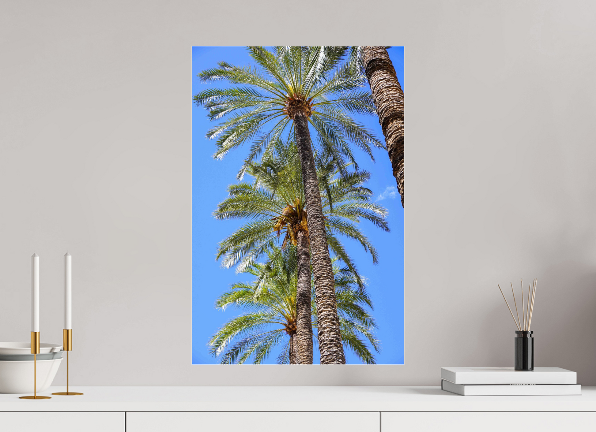 40 x 60 cm, Photo Print Under Acrylic Glass Palmeras
