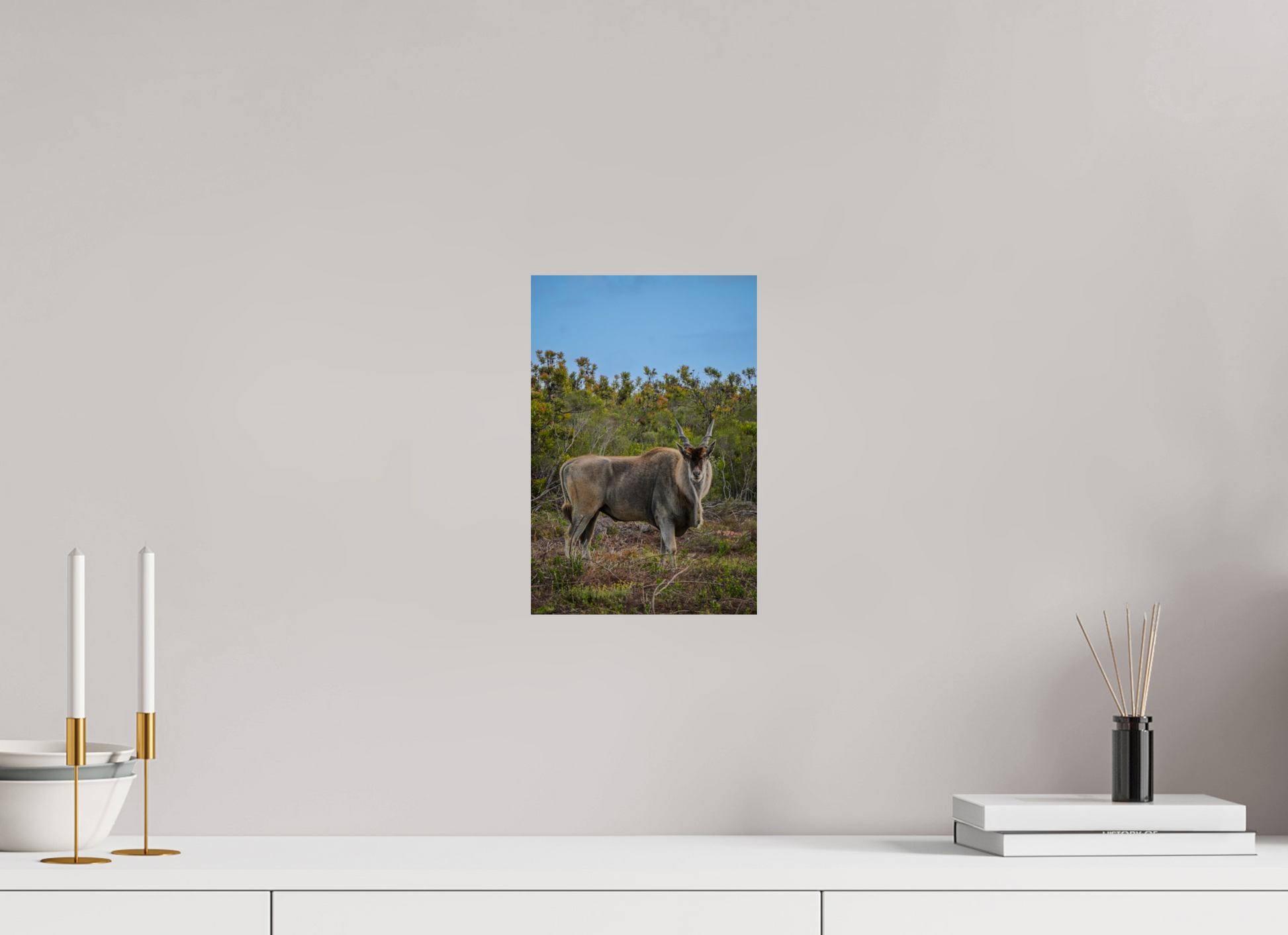 20 x 30 cm, Photo Print On Fuji Crystal DP II Eland Antilope