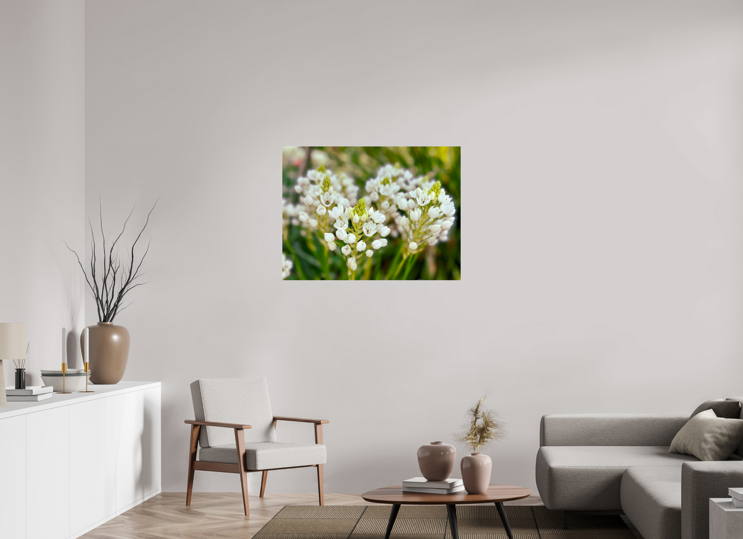 100 x 75 cm, Photo Print Under Acrylic Glass Ornithogalum Arabicum
