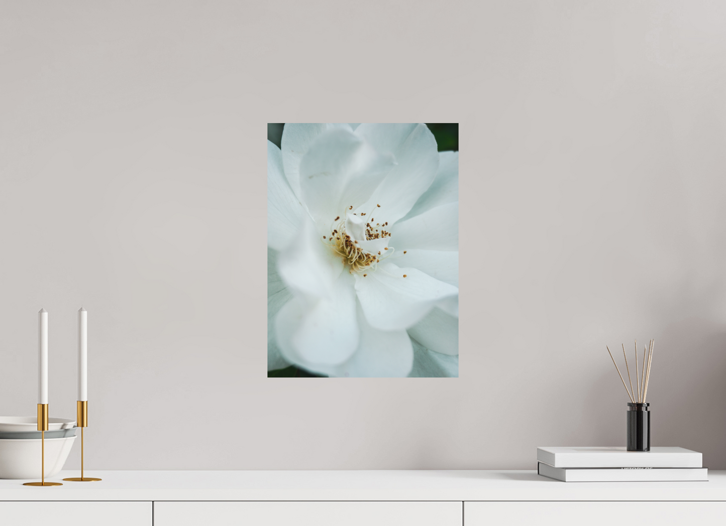 30 x 40 cm, Photo Print On Fuji Crystal DP II White camelia