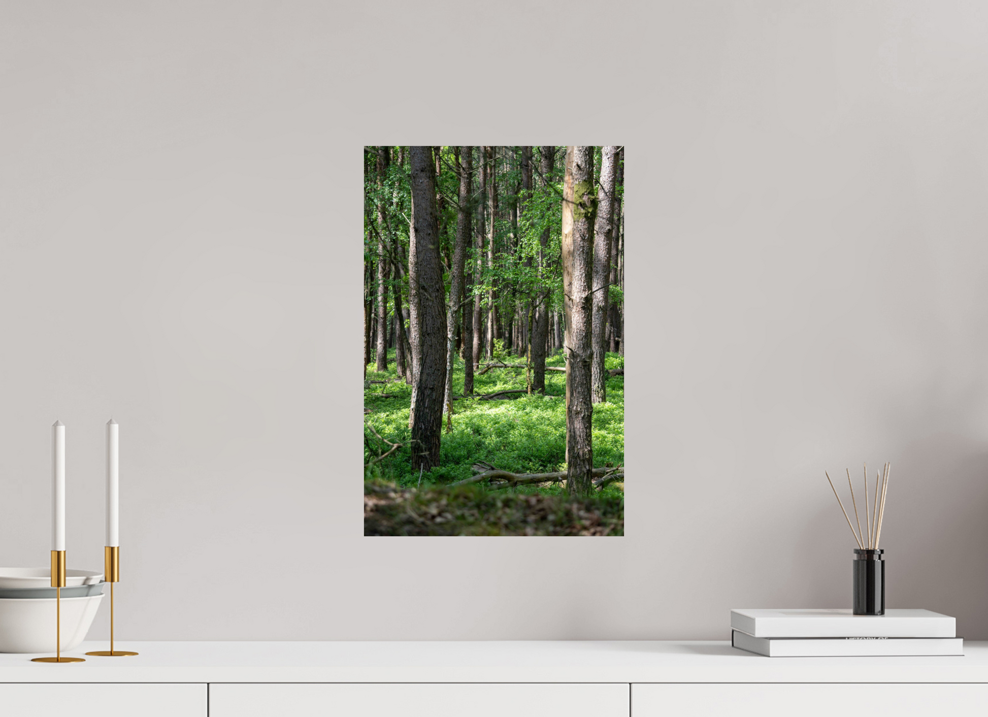 30 x 45 cm, Photo Print On Fuji Crystal DP II Forest Stillness