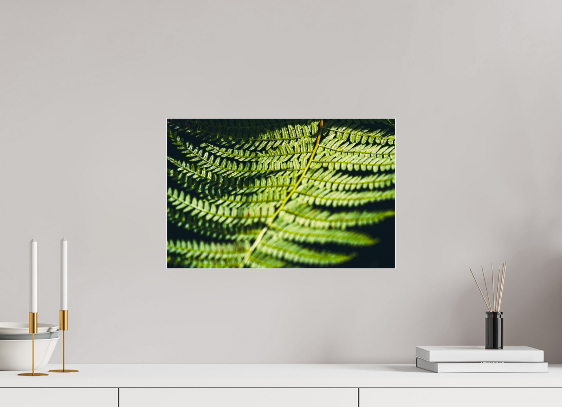 45,7 x 30 cm, Photo Print Under Acrylic Glass Fern