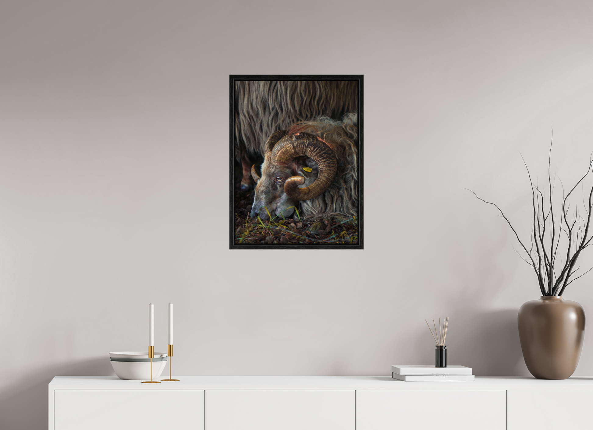 45 x 60 cm, Floater Frame Drentse heidenschaap