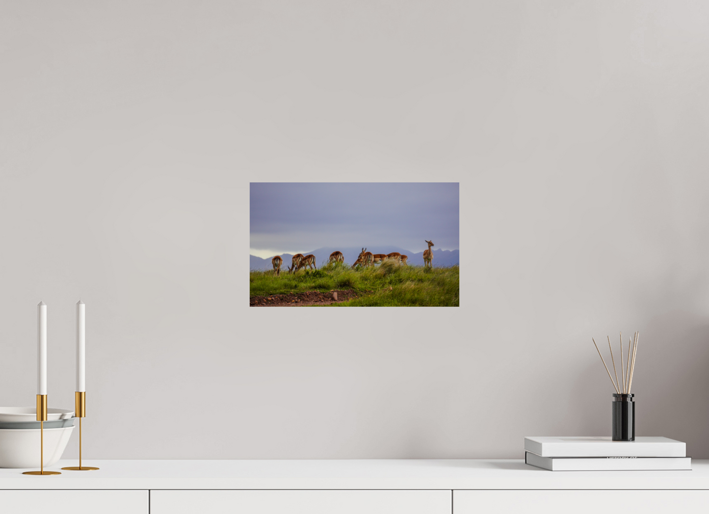 33,7 x 20 cm, Photo Print On Fuji Crystal DP II Gondwana