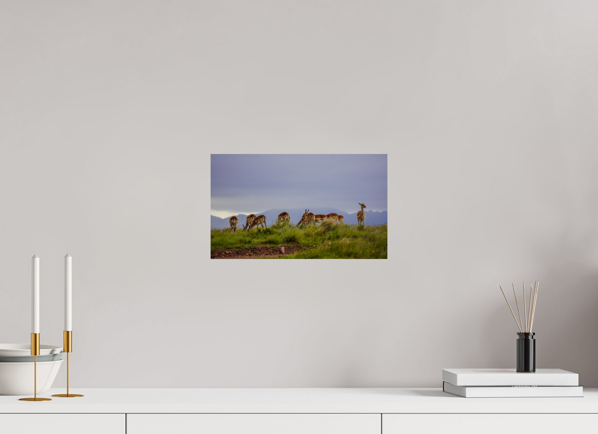 33,7 x 20 cm, Photo Print On Fuji Crystal DP II Gondwana