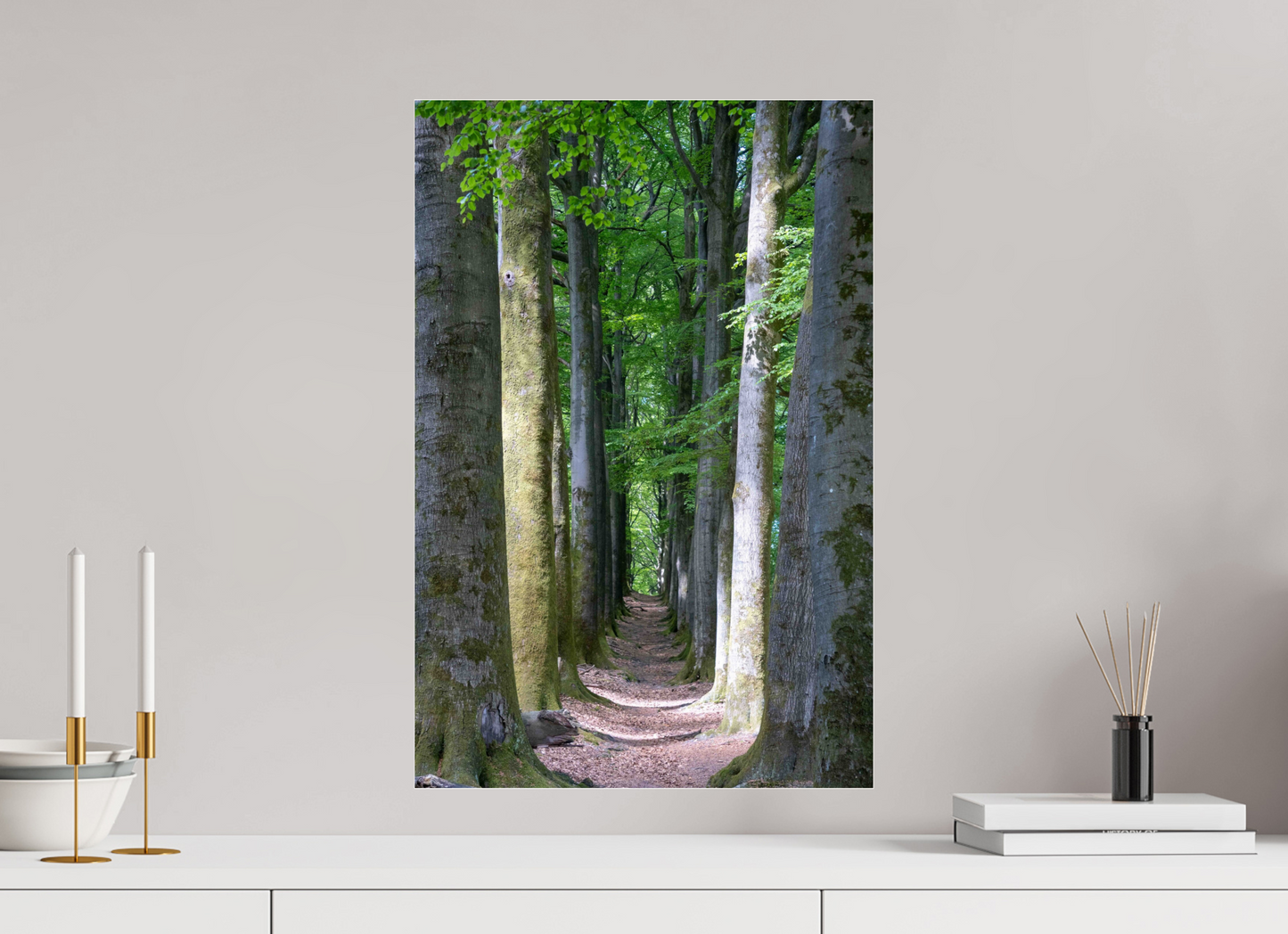 40 x 60 cm, Photo Print Under Acrylic Glass Emerald Corridor