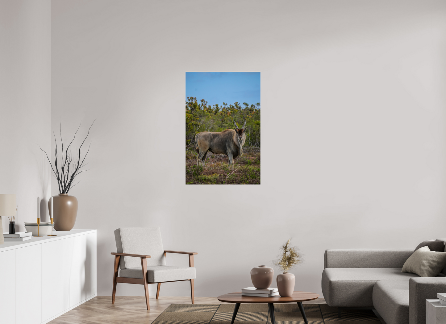 70 x 105 cm, Photo Print Under Acrylic Glass Eland Antilope
