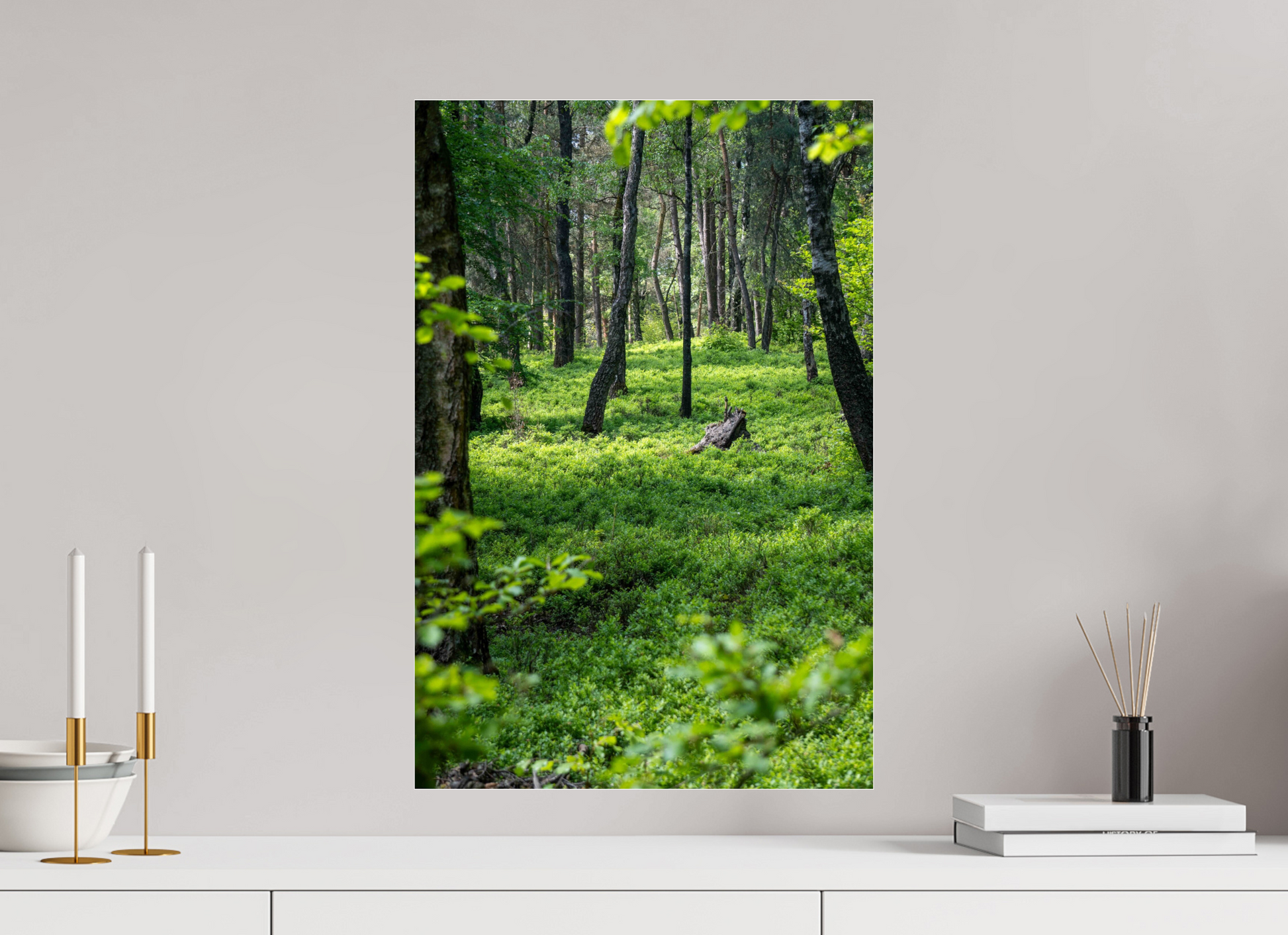 40 x 60 cm, Photo Print Under Acrylic Glass The Forest Heart