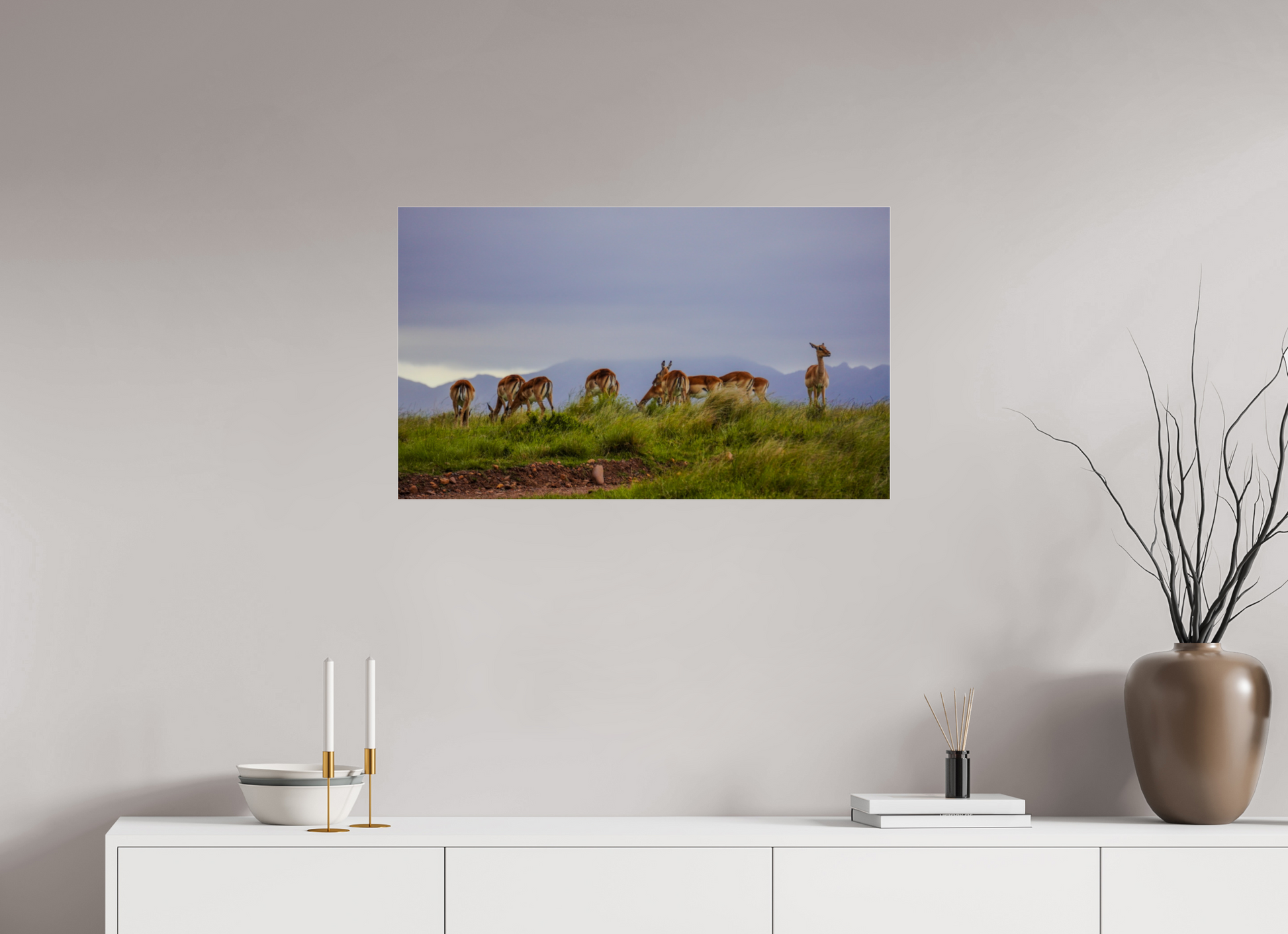84,2 x 50 cm, Photo Print Under Acrylic Glass Gondwana