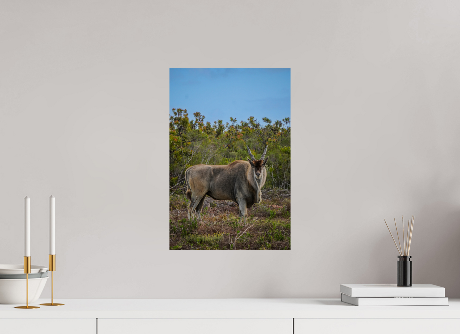 30 x 45 cm, Photo Print On Fuji Crystal DP II Eland Antilope