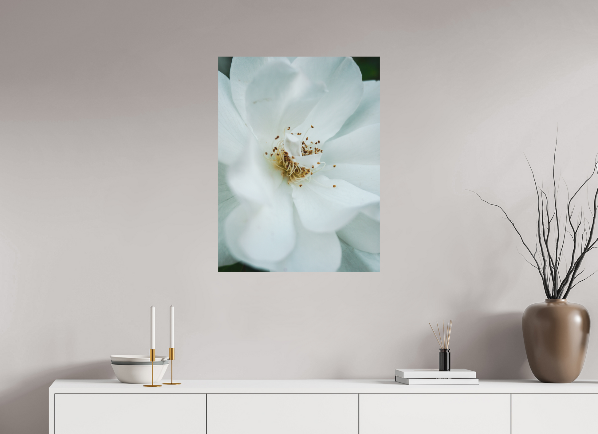 60 x 80 cm, Photo Print On Fuji Crystal DP II White camelia