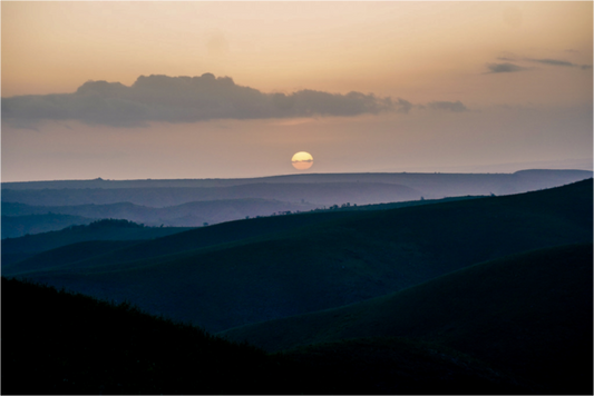 Main image African Sunset