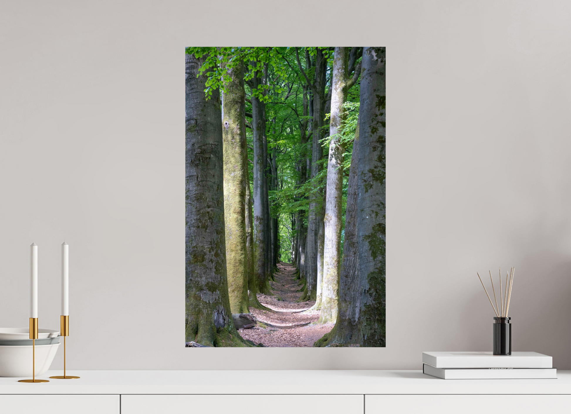 40 x 60 cm, Photo Print On Fuji Crystal DP II Emerald Corridor